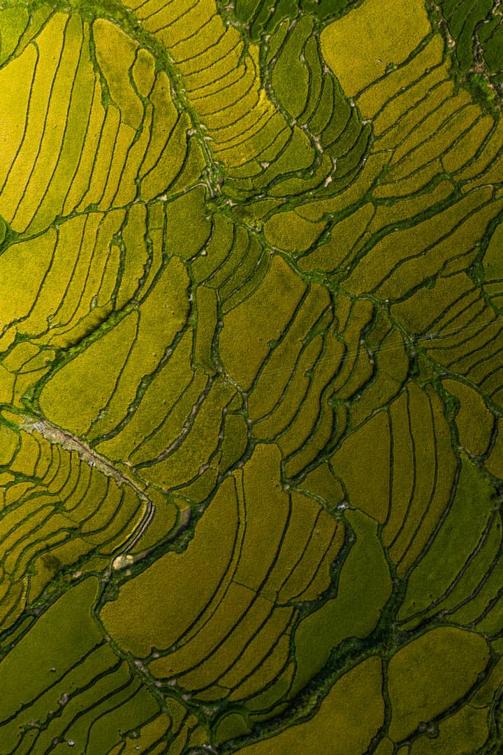 Terraced paddy fields forming patterns across a Bhutanese valley
