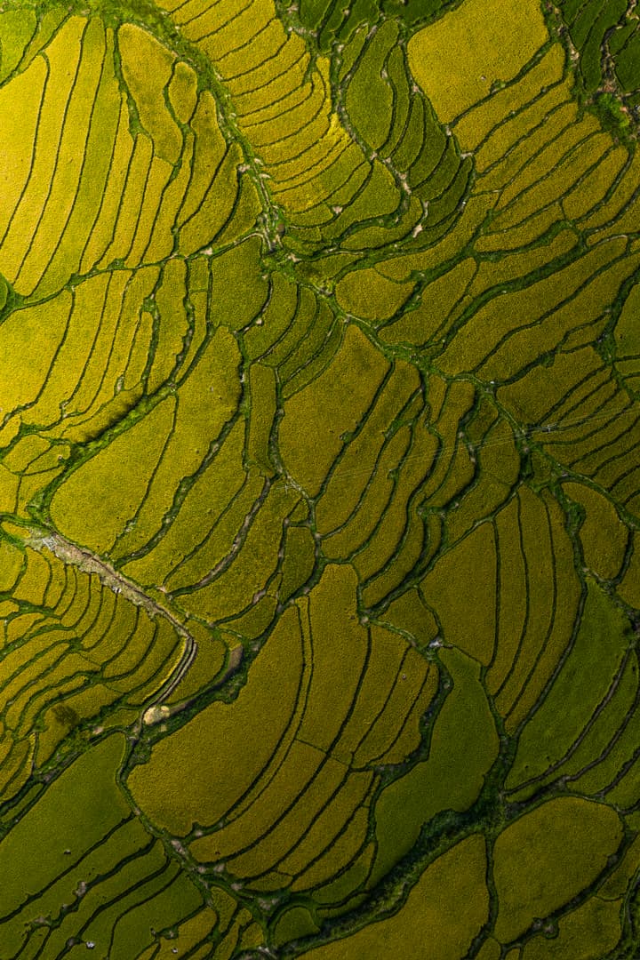 Terraced paddy fields forming patterns across a Bhutanese valley