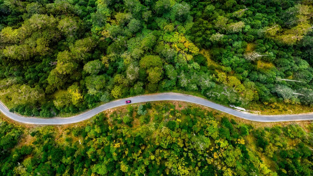 A red car following a winding road through the forested mountains of Bumthang